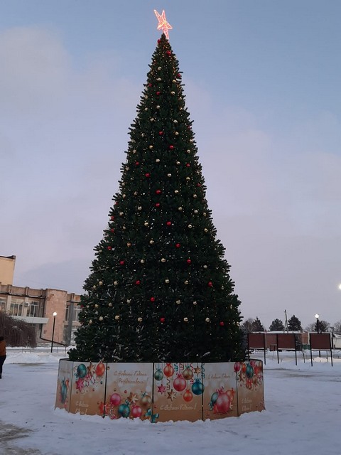 IMG 20211224 WA0010