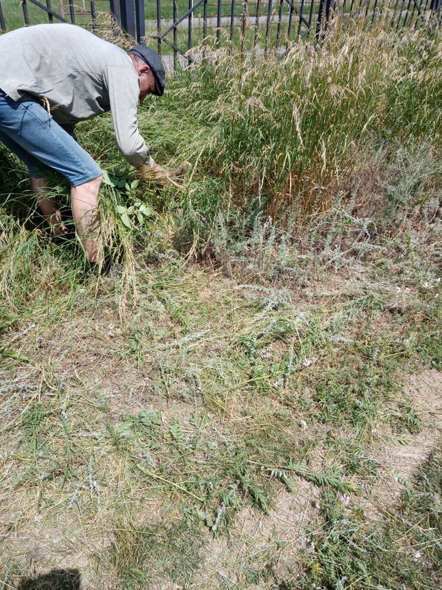 foto 2023 06 13 11 32 002