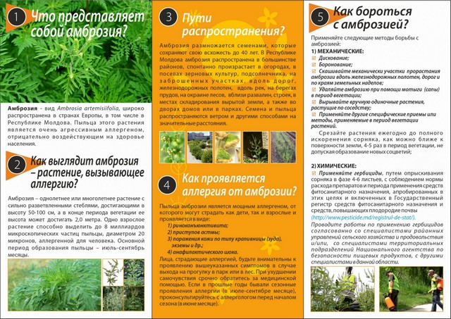 foto 2025 05 20 13 08 001