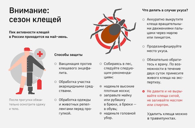 С наступлением тёплого времени года начинается сезон активности клещей, причиняющих вред здоровью населения